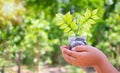 child hand holding money in glass jar and plant growing in lian,investment and interest savings concept,copy space,nature Royalty Free Stock Photo