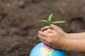 Child hand holding a small seedling on the globe, plant a tree, reduce global warming, World Environment Day Royalty Free Stock Photo