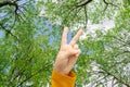 Child hand making Peace sign on background of green trees and blue sky Royalty Free Stock Photo