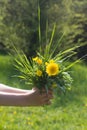 Child hand offering a bunch of local flowers for earth Royalty Free Stock Photo