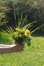 Child hand offering bunch of wild flowers, gift from nature