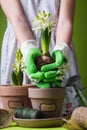 child hand pouring pot with hyacinth gardening concept flower dress