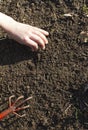 child hands gardening, preparing soil to learn how to sow