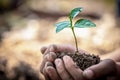 Child hands holding and caring a young green plant, Seedlings are growing from abundant soil, planting tree, reduce global warming Royalty Free Stock Photo