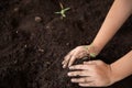 Child hands holding and caring a young green plant, Seedlings are growing from abundant soil, planting trees, Royalty Free Stock Photo