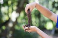 Child hands holding Fertile soil Royalty Free Stock Photo