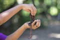 Child hands holding Fertile soil Royalty Free Stock Photo