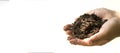 Child hands holding Fertile soil and earthworms on white background Royalty Free Stock Photo