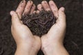 Child hands holding Fertile soil and earthworms on white background Royalty Free Stock Photo