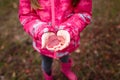Child hands holding red autumn leaves on blurry autumn forest background. Girl in pink jacket and resine boots. Close up shot