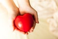 Child hands holding red heart, health care, donate and family insurance concept Royalty Free Stock Photo