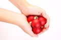 Child hands holding red matt christmas balls