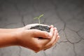 Child hands holding soil with sprout on cracked ground Royalty Free Stock Photo