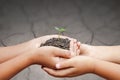 Child hands holding soil with sprout on cracked ground Royalty Free Stock Photo