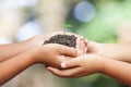 Child hands holding soil with sprout