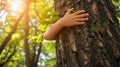 Child hands hugging tree, nature connection, love for environment Royalty Free Stock Photo