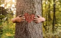 Child hands hugging tree Royalty Free Stock Photo