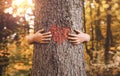 Child hands hugging tree Royalty Free Stock Photo