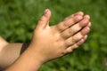 Child hands praying Royalty Free Stock Photo