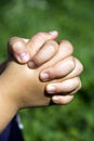 Child hands praying Royalty Free Stock Photo