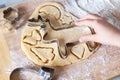 Child hands putting Christmas biscuits in various shapes on a tray