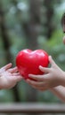 Child Hands a red heart with Kind Gesture and Love Concepts Royalty Free Stock Photo