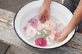 Child hands in white enamel bowl with garden flowers on old wooden bench. Pink roses, dahlia and cosmos floating in Royalty Free Stock Photo