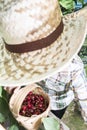 Child harvesting Morello Cherries Royalty Free Stock Photo