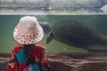 A child with hat and dress watching the River terrapin or Labi - labi in Malay, Swimming in an aquarium. View from behind