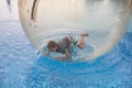 Little boy have fun inside big plastic balloon on the water of swimming pool on the summer resort. Kid inside big inflatable Royalty Free Stock Photo