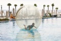 Child have fun inside big plastic balloon on the water of swimming pool on the summer resort. Little boy inside big inflatable