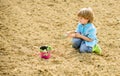 Child having fun with little shovel and plant in pot. Planting in field. Little helper in garden. Boy planting flower in