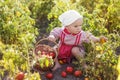 Child helps to take the crop