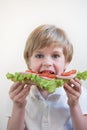 A child with his mouth wide open. Bites into a large ham and vegetable sandwich. School lunch. Portrait, close-up