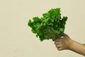 Child hold in his hands lettuce leaves like a bouquet Royalty Free Stock Photo