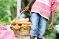Child holding a basket of food. Royalty Free Stock Photo