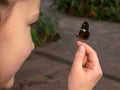 The child is holding a butterfly in his hands. Royalty Free Stock Photo