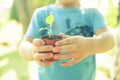 The child is holding a flower pot with a small plant Royalty Free Stock Photo