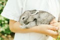 The child is holding a gray little rabbit in the hands of greenery. Concept - farm animals, children`s pets.