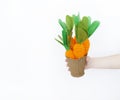 The child is holding a knitted carrot in his hand. Easter rabbit. Child`s hand. Royalty Free Stock Photo