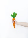 The child is holding a knitted carrot in his hand. Easter rabbit. Child`s hand. Royalty Free Stock Photo