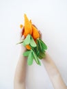 The child is holding a knitted carrot in his hand. Easter rabbit. Child`s hand. Royalty Free Stock Photo