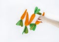 The child is holding a knitted carrot in his hand. Easter rabbit. Child`s hand. Royalty Free Stock Photo