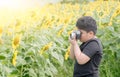 Child Holding old camera to Take Photos sunflower flower