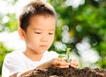 Child holding young plant in hands above soil Royalty Free Stock Photo