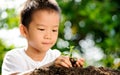 Child holding young plant in hands above soil Royalty Free Stock Photo