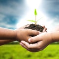 Child holding young plant in hands against Royalty Free Stock Photo