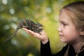 The child holds a bright hissing chameleon. Royalty Free Stock Photo
