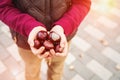 Child holds handful of chestnuts in autumn