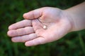 The child holds his fallen tooth in his hand. Royalty Free Stock Photo